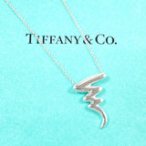 TIFFANY&Co. ティファニー スクリブル パロマピカソ ネックレス
 シルバー925 シルバー【中古】
 レディース