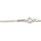 ティファニー ネックレス
 アップル エルサペレッティ TIFFANY&Co. シルバー925 シルバー レディース 新品仕上げ済み